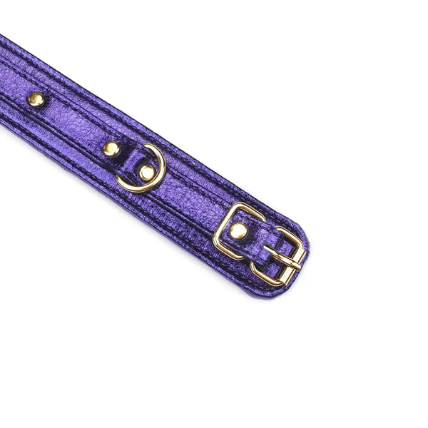 LIEBE SEELE - AURORA Menottes Chevilles Violettes