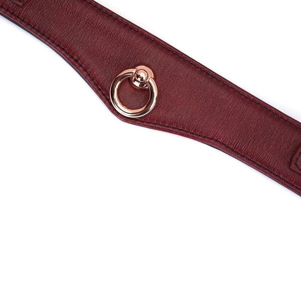 Détail du Packshot du Devant d'un Collier avec Anneau Incurvé en Cuir Rouge Mis à Plat