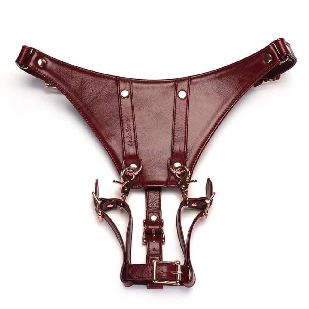 Packshot du Devant d'une Ceinture Harnais en Cuir couleur Rouge