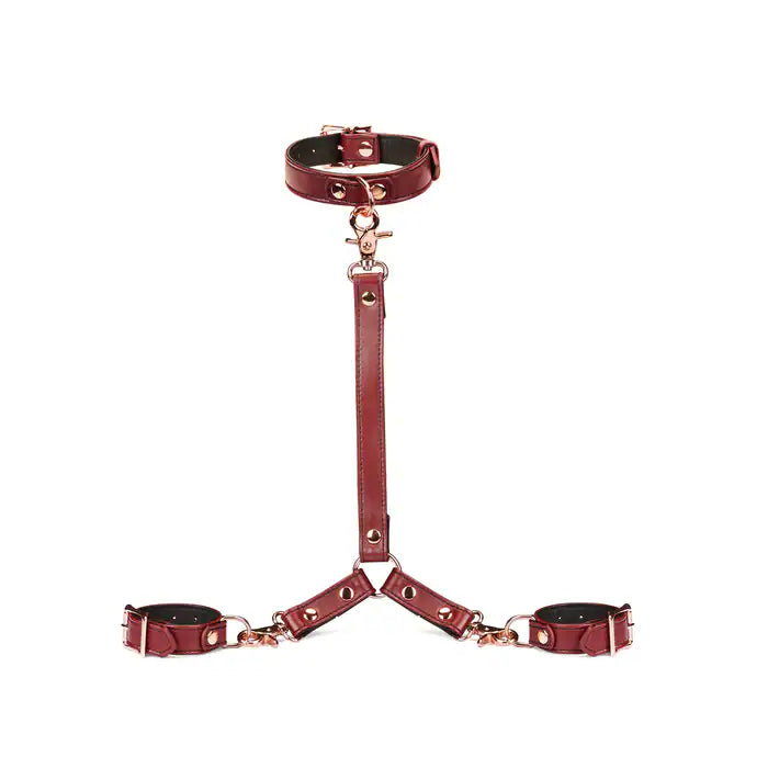 Harnais avec Collier et Menottes de Poignets en Cuir de Vache Rouge vin Détails Rose Gold
