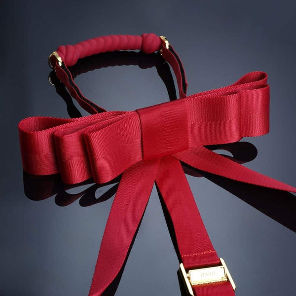 Détail sur le Ruban du Packshot de Sangles Hogtie Bondage en Rubans Rouges