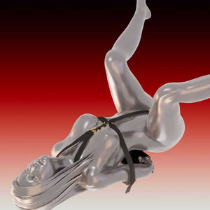 Bondage Shibari Takate Kote simplifié Boucles en alliage de zinc galvanisé Sangles en polyester résistantes et Sangle intime détachable
