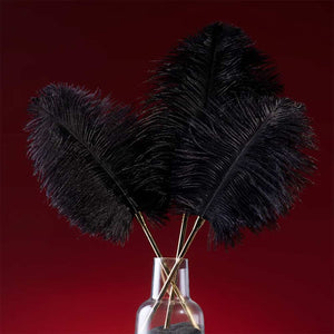 Trois plumes noires dans un vase avec fond rouge