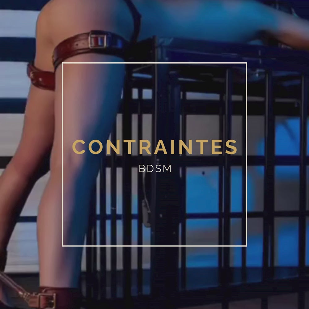 Encart - Contraintes - BDSM