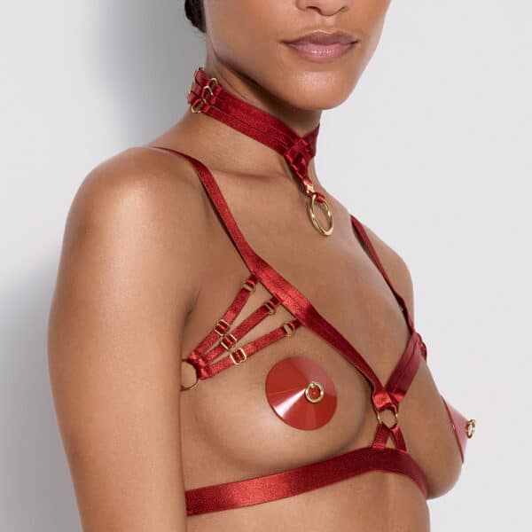 open bondage bra with red nippies, necklace with multiple straps