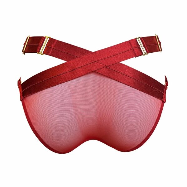 Back Packshot of the Red Suspender Belt Panties