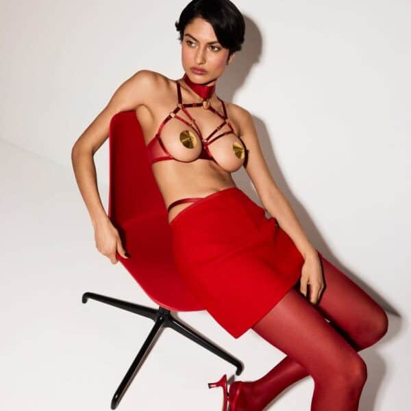 Seated woman wearing an open bra, fishnet thong, red stockings and skirt, and gold nipples.