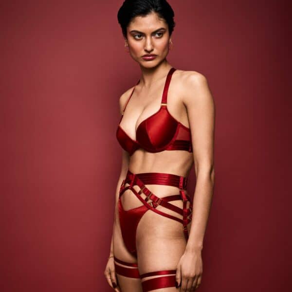 Photo of a 3/4-Length Woman Wearing a Silk Bra, Suspender Belt, G-string and Red Garters