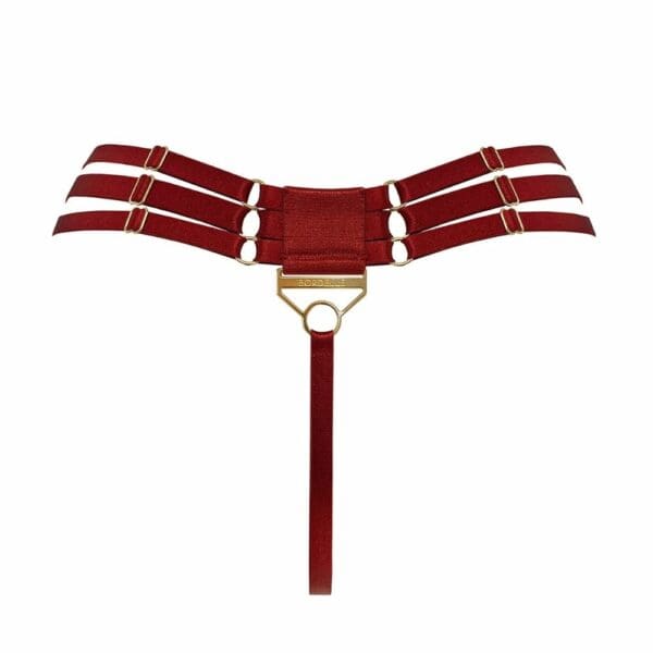 Packshot of the Back of the Multi-Sangles Thong in Red