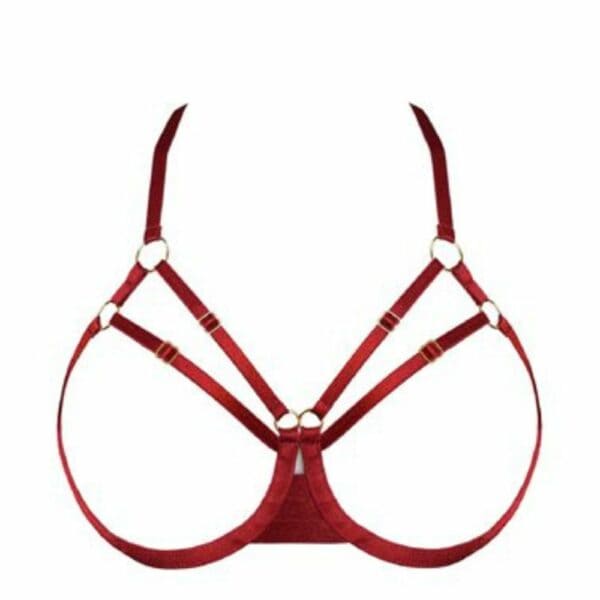 Packshot - Open Bondage Bra in red from Bordelle Signature