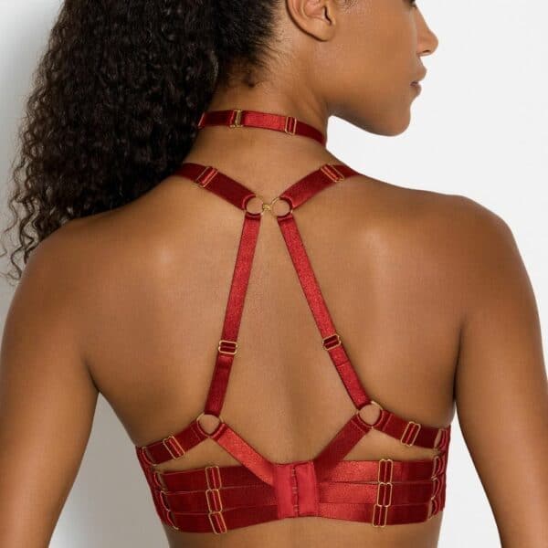 Detail of a Photo of a Woman from the Back wearing a Silk Push-Up Bra and a Red Ring Necklace