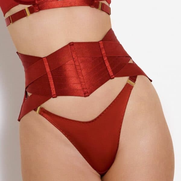 Detail of Front Woman wearing Silk Push Up Bra, Red Silk Suspender Belt and Silk Thong