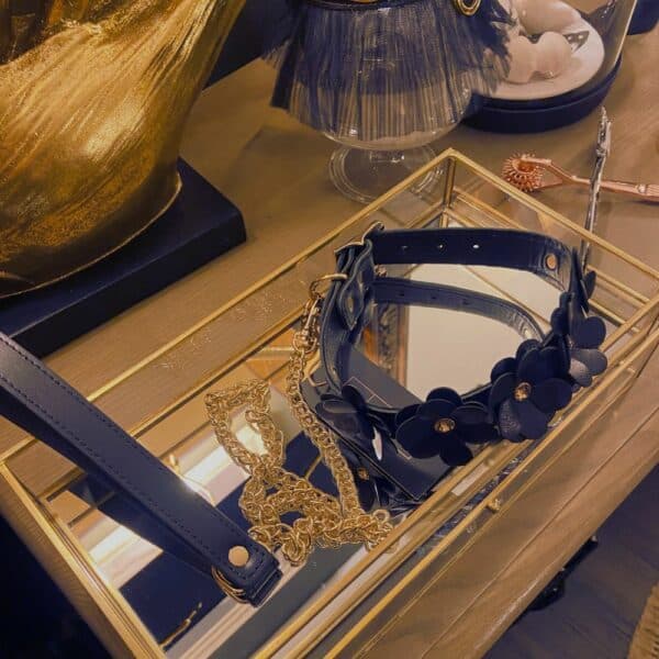 Collier et laisse en cuir noir avec design fleurs et chaine en or, posés dans une boîte transparente et dorée sur un meuble en bois