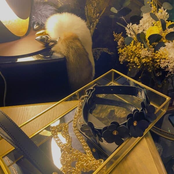 Collier et laisse en cuir noir avec design fleurs et chaine en or, posés dans une boîte transparente et dorée