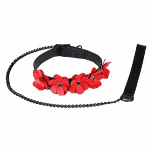 Packshot du Collier en Cuir Noir avec Fleurs en Cuir Rouge et Laisse en Cuir Noir et Chaine couleur Noir