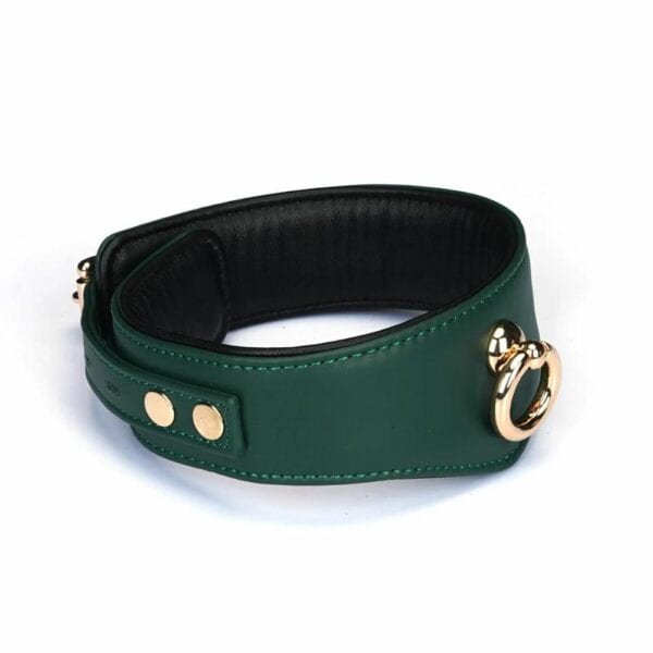 3/4 Packshot de Collar Curvo Mossy Chic en verde y negro con anilla dorada