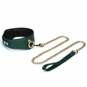 Packshot de 3/4 du Collier Courbé Mossy Chic couleur vert et noir avec anneau doré et laisse