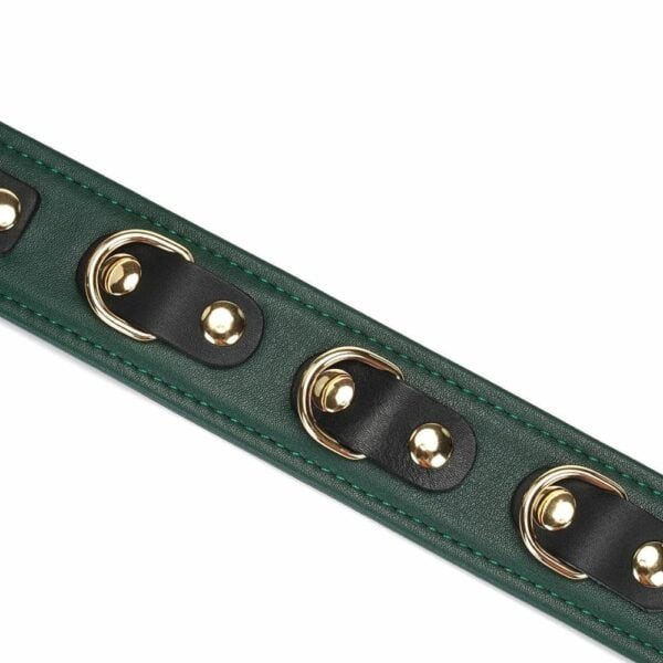 Front Packshot Detail of Mossy Chic Leather Necklace in Green and Black