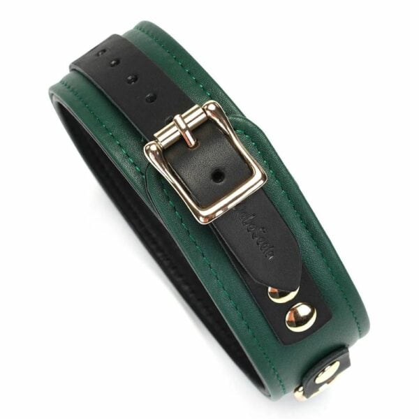 Packshot of Mossy Chic Back Necklace in Green and Black Leather