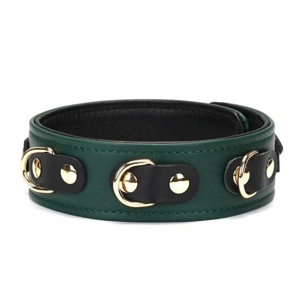 Packshot of Mossy Chic Leather Necklace Front in Green and Black