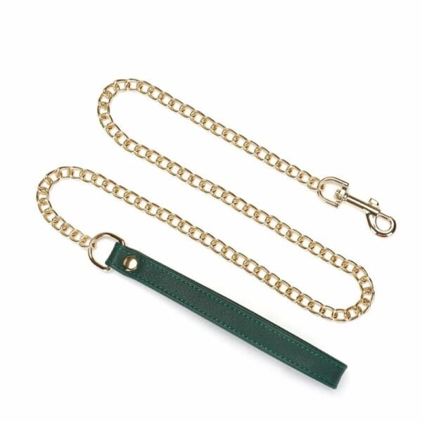 Packshot of Mossy Chic Leash in Green and Black Leather with Gold Chain