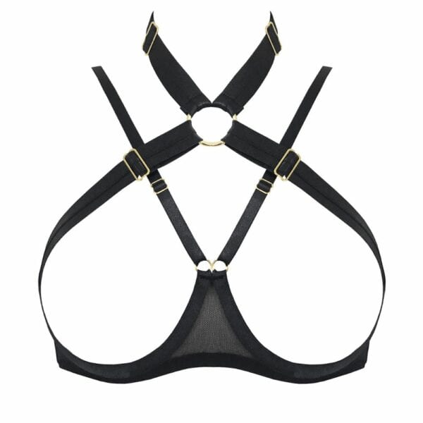 Packshot of the Front of an Open Bra with Collar and Ring Black Color