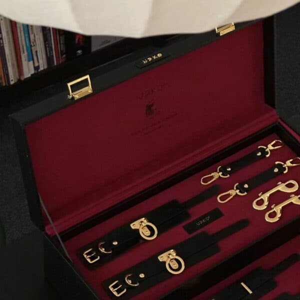 Photo of a Black Color Bondage Accessories Trunk