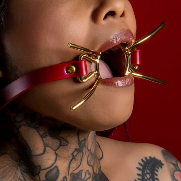 Photo of a 3/4 Woman with an Open Mouth Gag in Red Synthetic Leather and Gold Metal