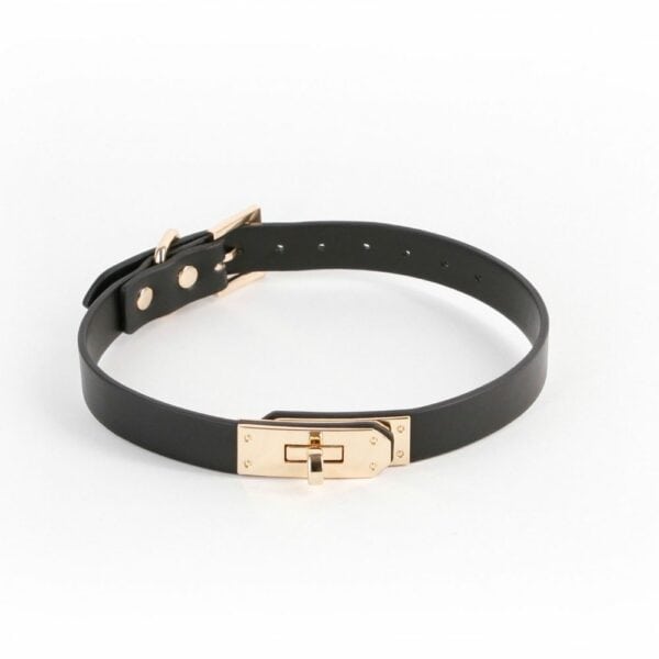 Front Packshot of a Black Synthetic Leather Collar with Gold Front Buckle