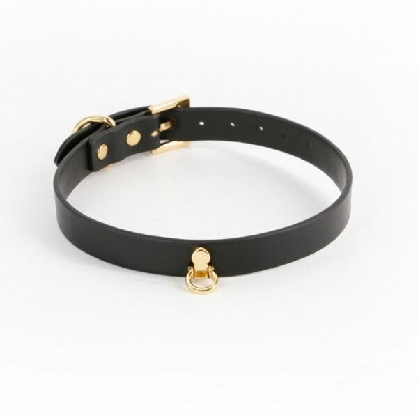 Front Packshot of a Black Synthetic Leather Collar with Gold Front Ring