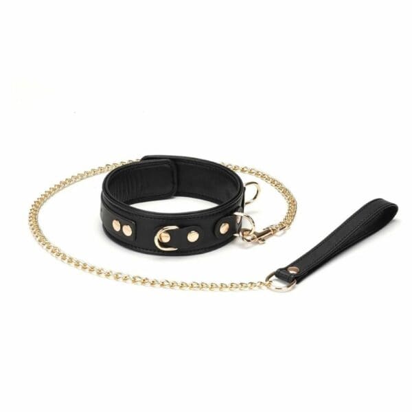 Packshot of a Black Leather Collar with Gold Rings and Black Leather Lead and Gold Chain