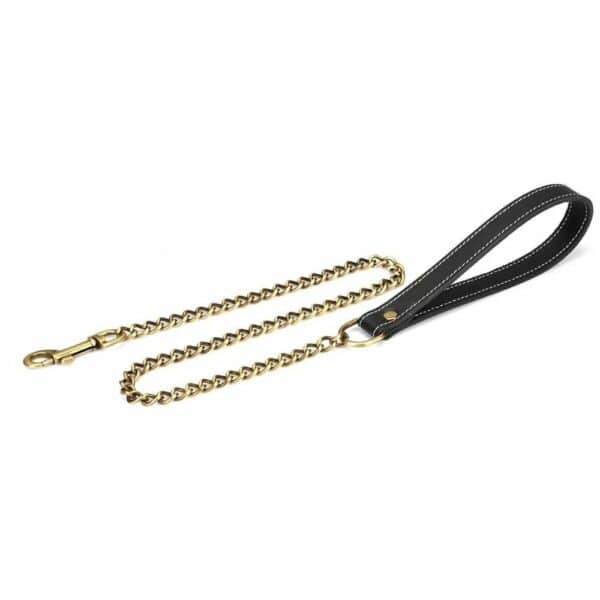 Packshot of a Black Leather Lead with Gold Chain