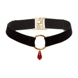 Front Packshot of a Black Choker with Gold Ring and Red Crystal