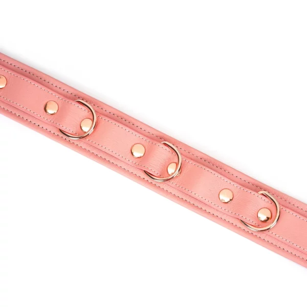 Packshot Collar Chocker de cuero rosa con anilla de corbata de oro rosa