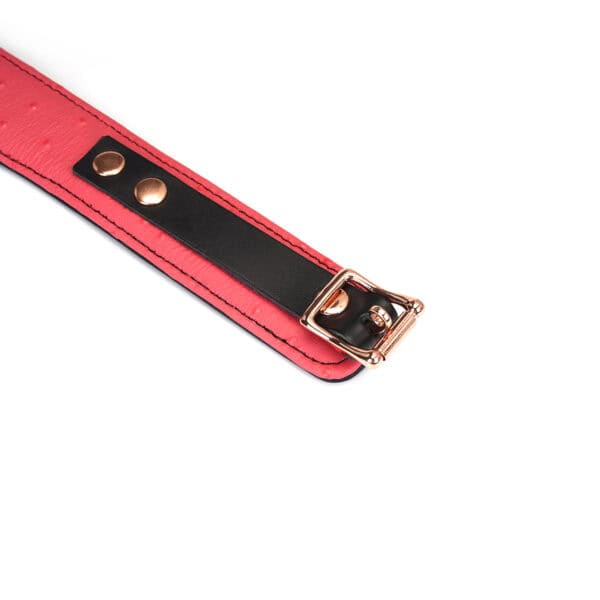 Packshot Collier avec Laisse en Cuir Rose