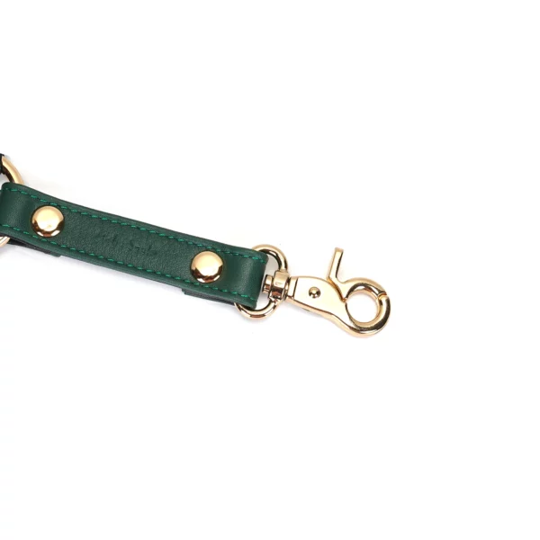 Packshot Hogtie Green Leather Zoom Gold Buckle Detail