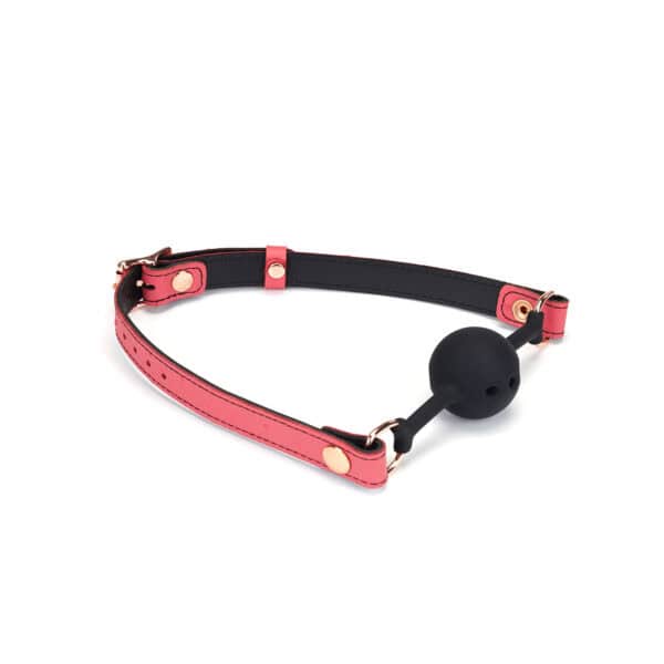 Packshot Collier GAG en Cuir Rose et Boule en Silicone Noir