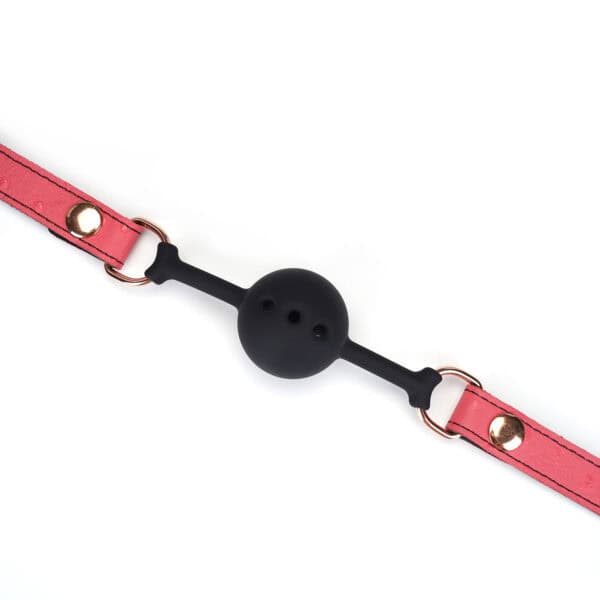 Packshot Collier GAG en Cuir Rose et Boule en Silicone Noir