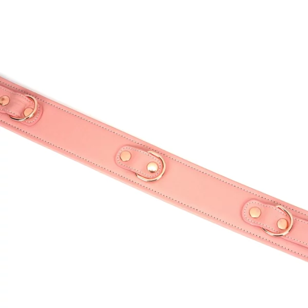 Packshot Pink Leather Thigh Cuffs Pink Gold Buckle Detail