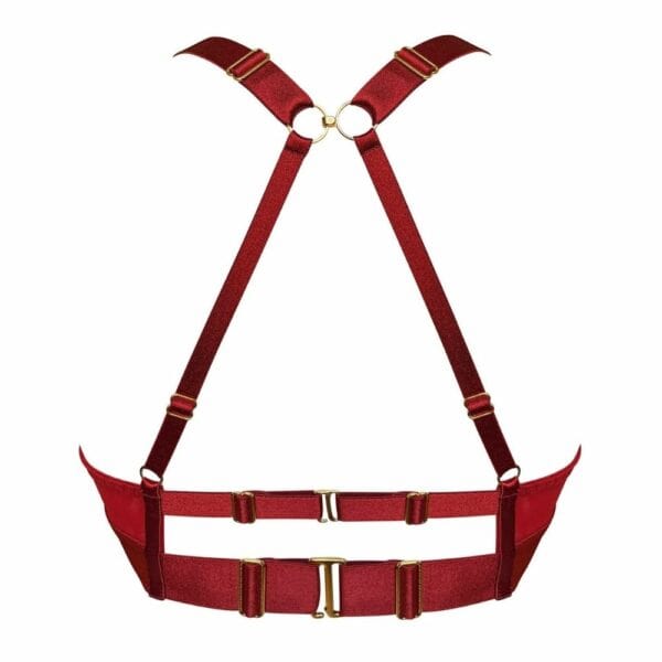 Soutien-gorge rouge avec harnais ajustable à l'arrière et lanière sous la poitrine pour un maintien confortable et moderne. Les bretelles sont ajustables pour un ajustement personnalisé.